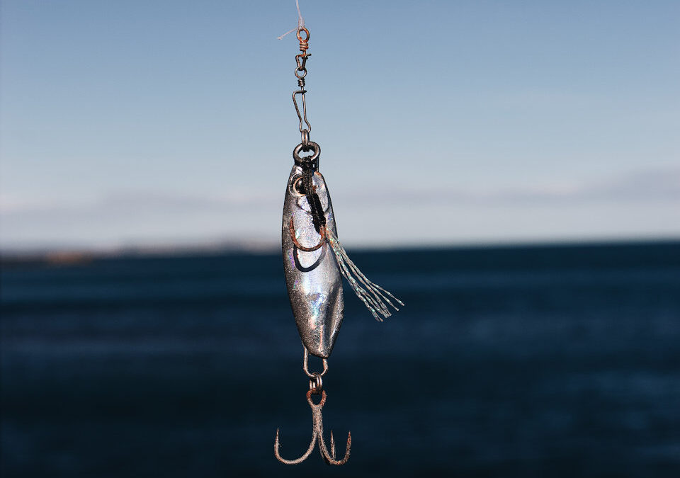 Trout Fishing Bait