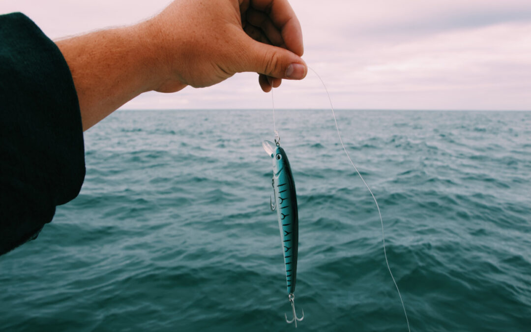 Trout Fishing Lures